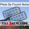 Black Ant Pill 23